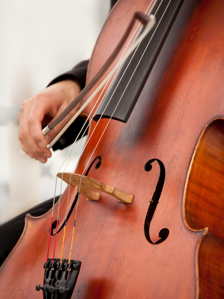 5 Things You Should Know Before Buying a Cello Prima Sonoro Carbon