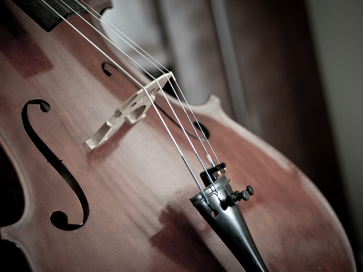 5 Things You Should Know Before Buying a Cello Prima Sonoro Carbon